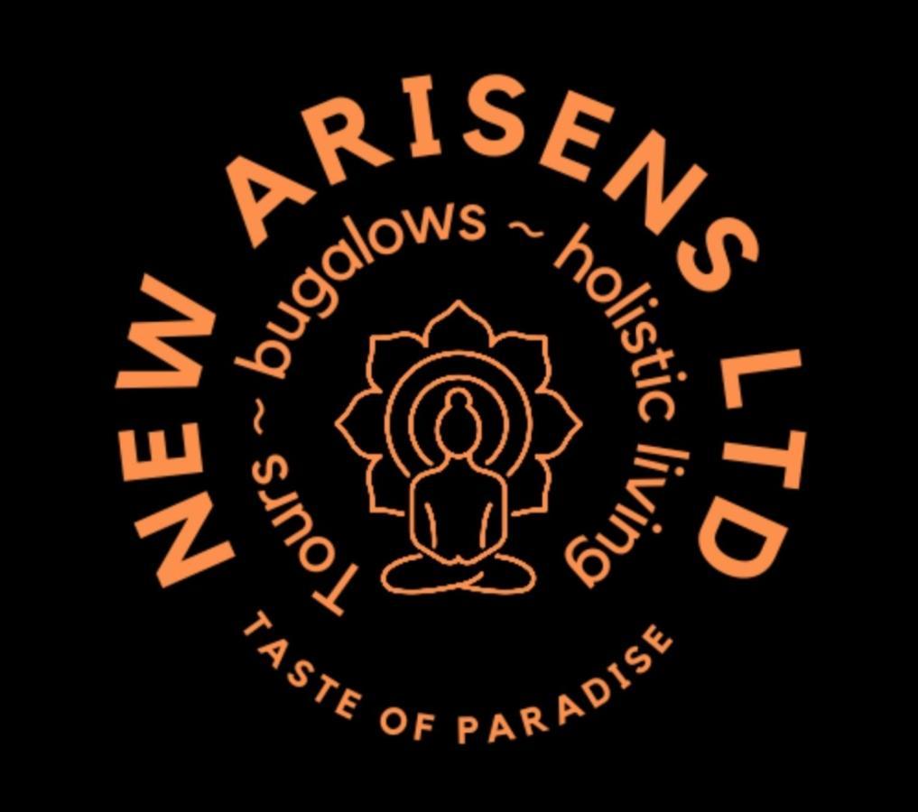 New Arisen Bungalows Bwejuu Εξωτερικό φωτογραφία