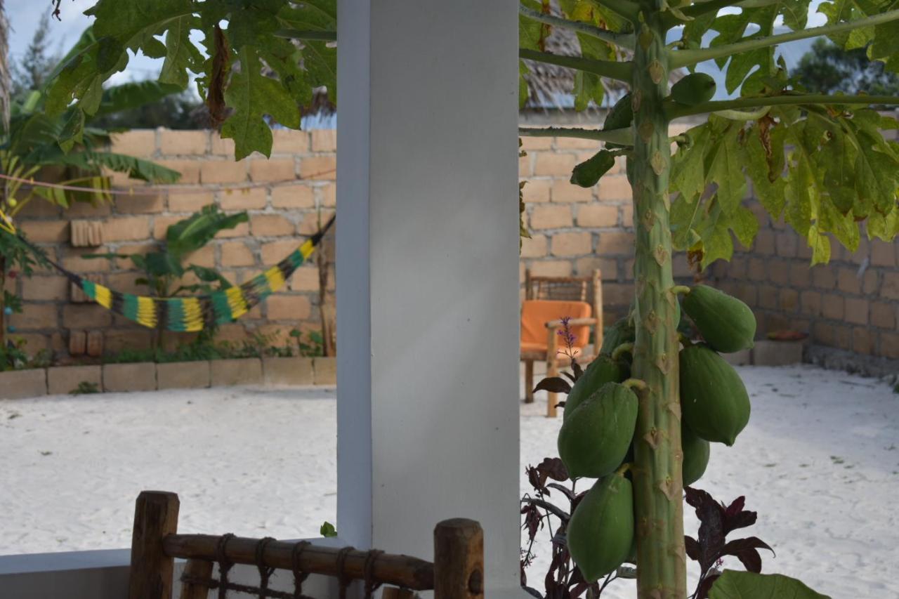 New Arisen Bungalows Bwejuu Εξωτερικό φωτογραφία